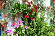 Concurso de Decoración de Fachadas 