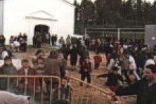 Festividad de San Blas