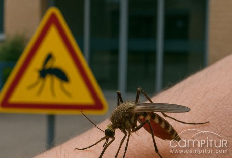 Segunda víctima mortal por el virus del Nilo Occidental en Extremadura